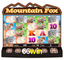 66win.com